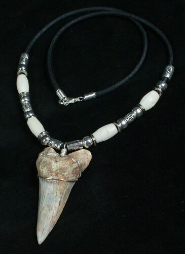 Fossil Mako Tooth Necklace - Bakersfield, CA #5330